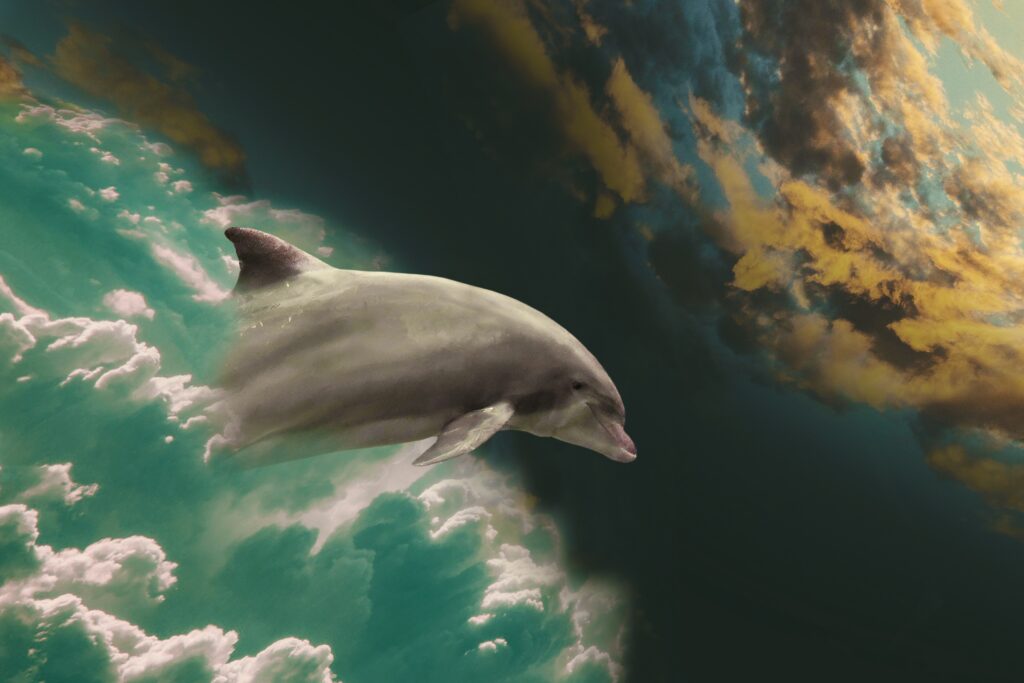 Surreal dolphin among colorful clouds accompanying guidance on financial power of attorney alternatives.